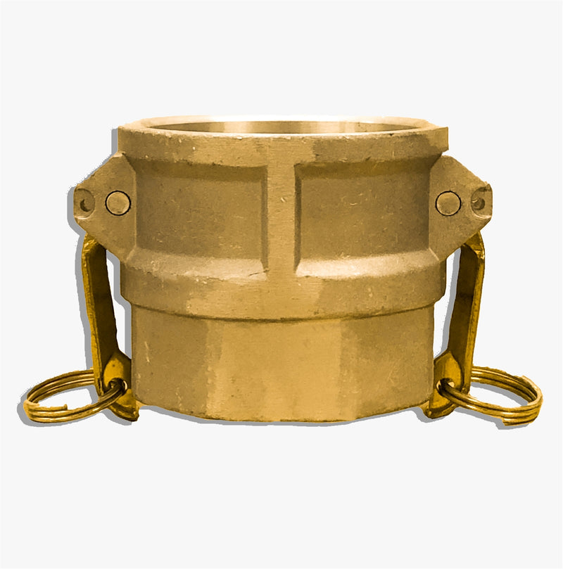BR-D250 (2 1/2" Female Coupler x 2 1/2" Female NPT)