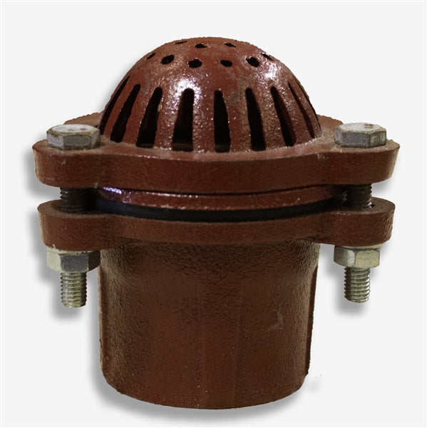 Foot Valves